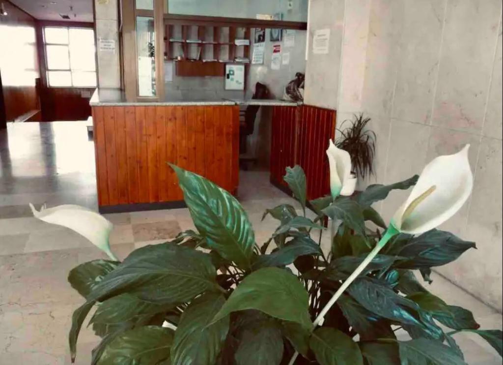 La Posada Del Viajero Apartment Torremolinos Exterior photo